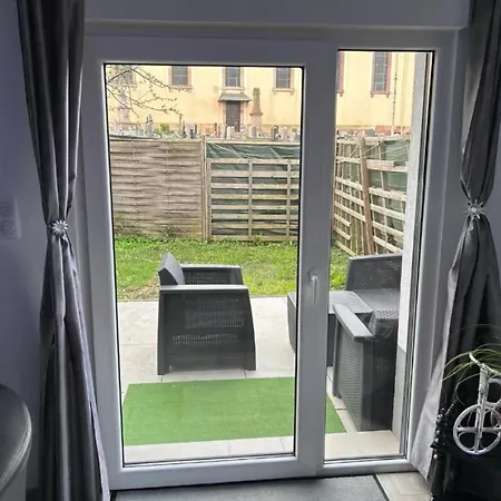 Willi 1 Niederschaeffolsheim